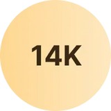 variant values store value 14k gold customized