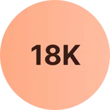 variant values store value 18k rose gold customized